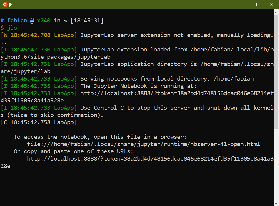 Running Jupyter Lab in the WSL Ubuntu terminal